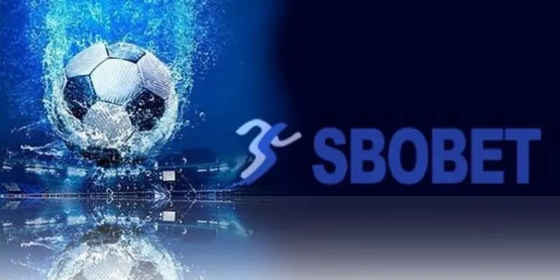 Web cá cược bóng đá Sbobet với tỷ lệ thưởng hấp dẫn