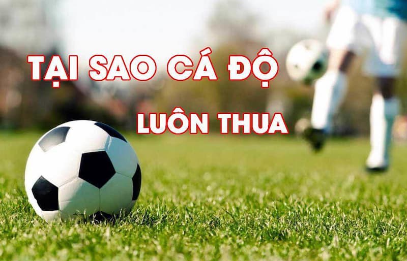 Giải thích lý do vì sao cá độ bóng đá luôn thua