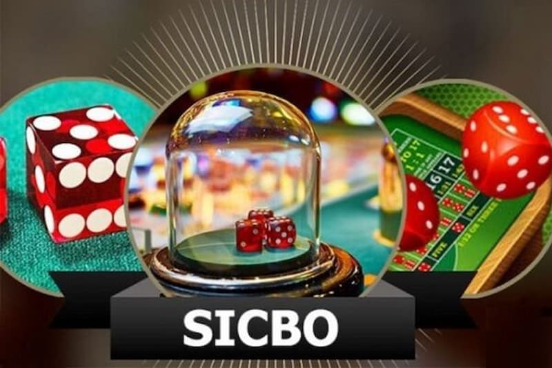 Sicbo còn được gọi là tài xỉu hay game trên dưới trong tiếng Việt