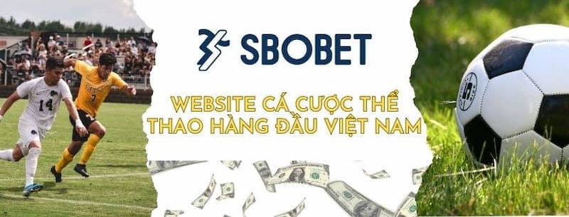 Web cá cược bóng đá Sbobet