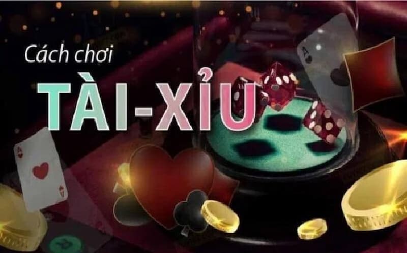 Hiểu rõ luật và các cửa cược tài xỉu - chìa khóa chiến thắng