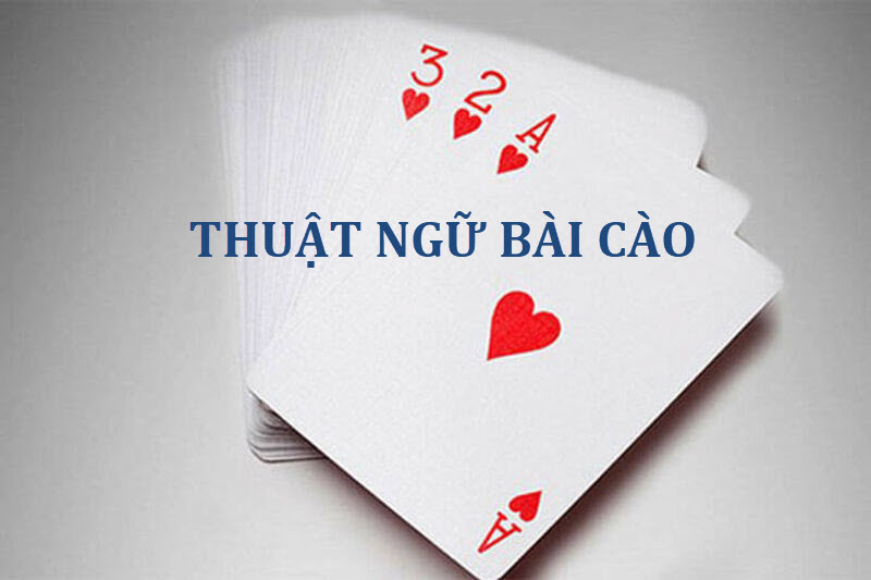 Tìm hiểu một số thuật ngữ cơ bản trong bài cào