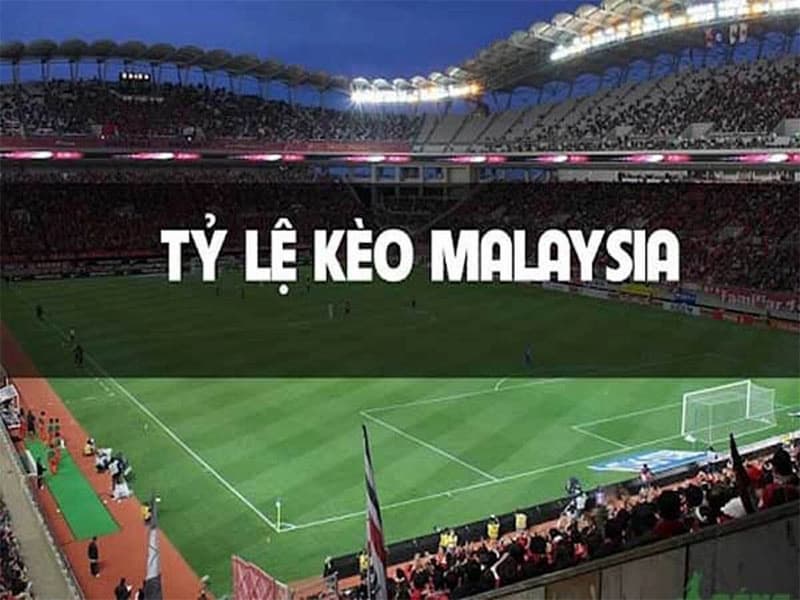 Ví dụ kèo Malaysia dễ hiểu cho tân thủ