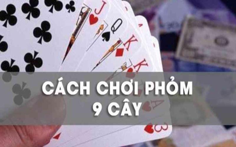 cách chơi phỏm 9 cây